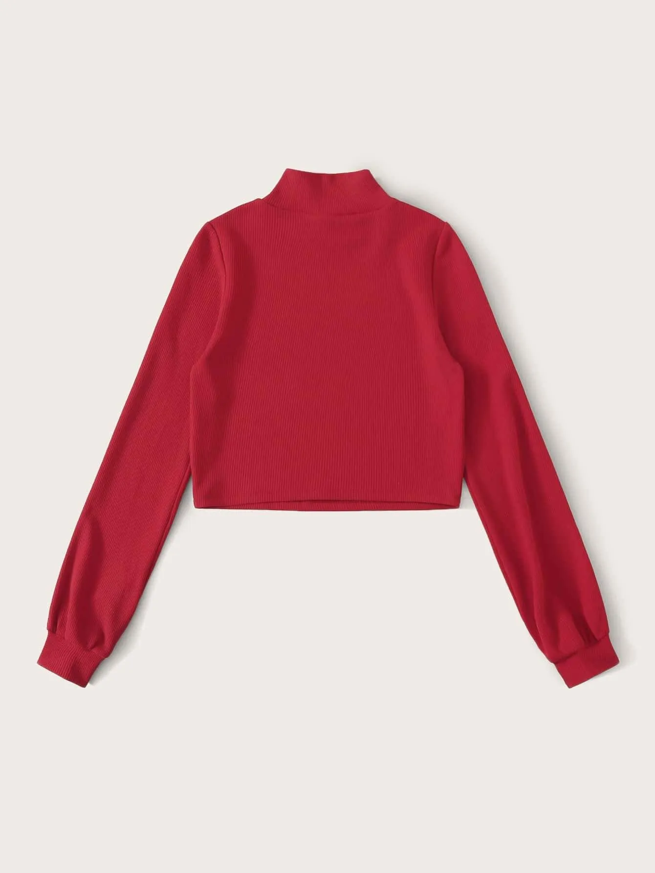 Solid Mock Neck Rib-knit Crop Tee